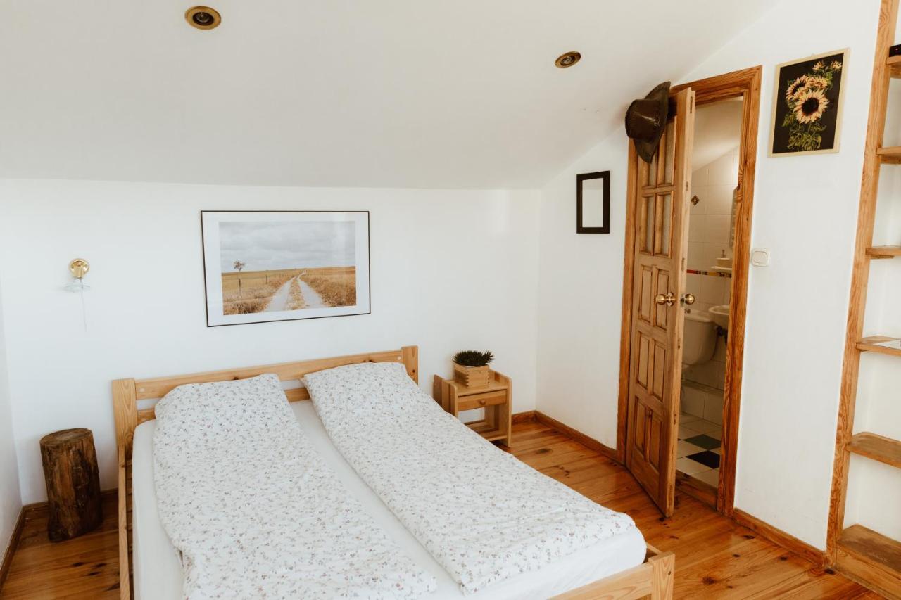 Adventura Hostel Varşova Dış mekan fotoğraf